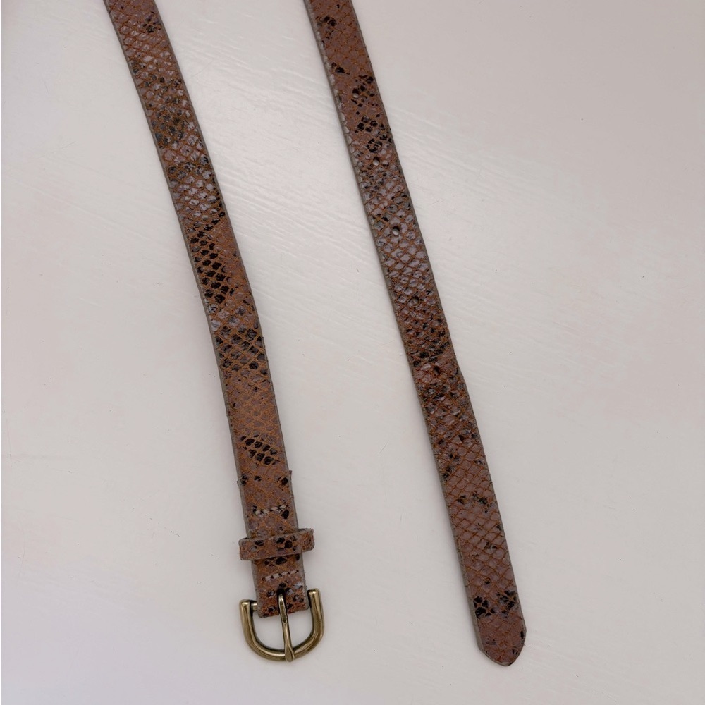 Wilfred Snakeskin Belt with Gold Buckle Sz Large - Picture 4 of 5
